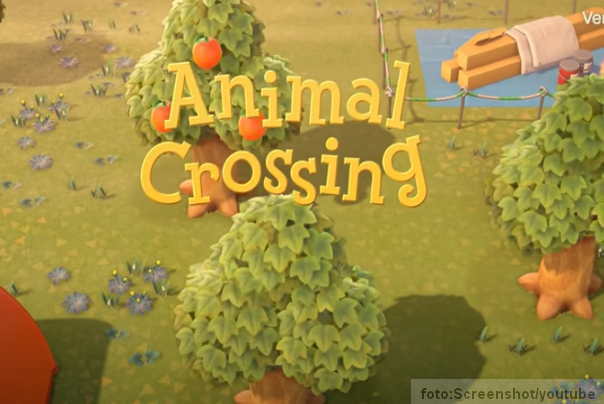 video igra animal crosing