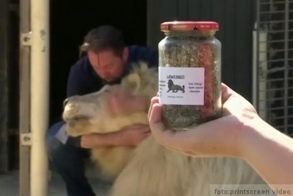 lavlji izmet teglica