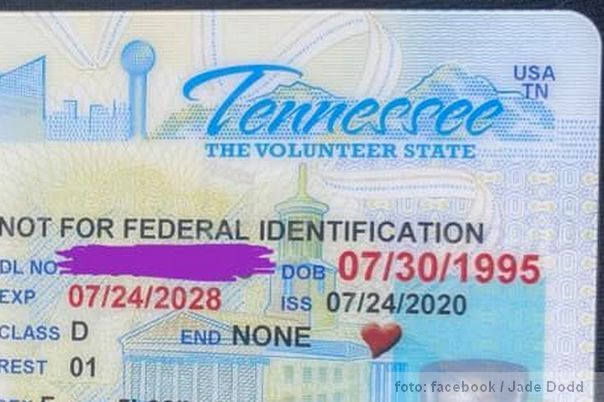 vozačka dozvola tenesi USA
