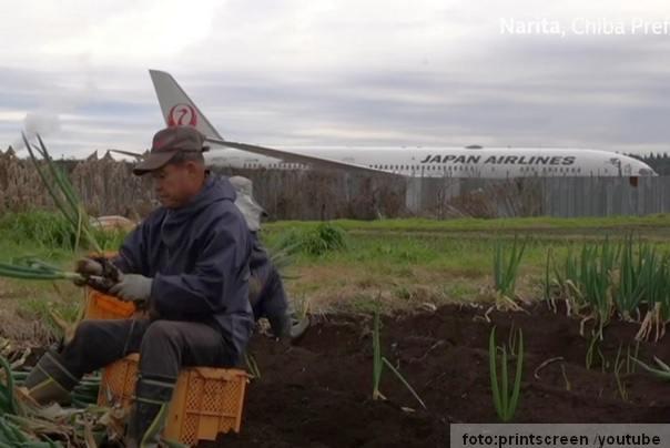 Takao Shito farma koaj je na sred aerodroma
