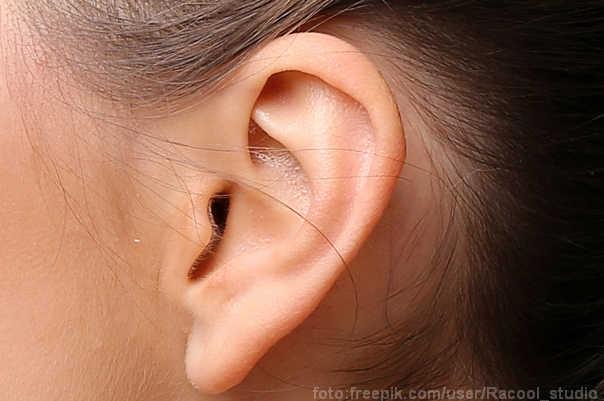 ljudsko uho