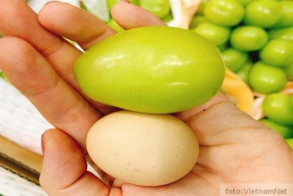 džinovsko grožđe veće od koko&scaron;ijeg jajeta 