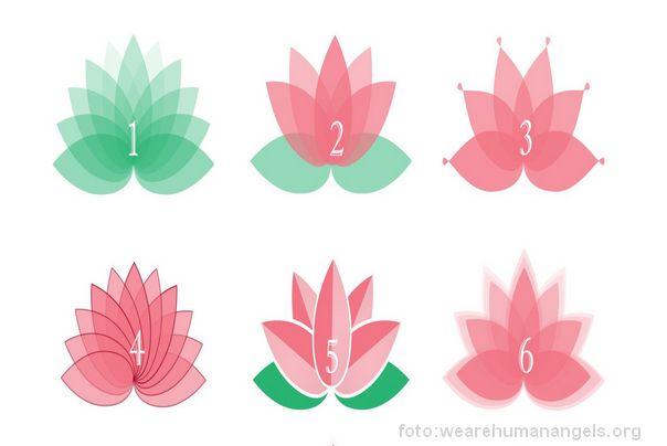 lotos test izaberite jedan lotos