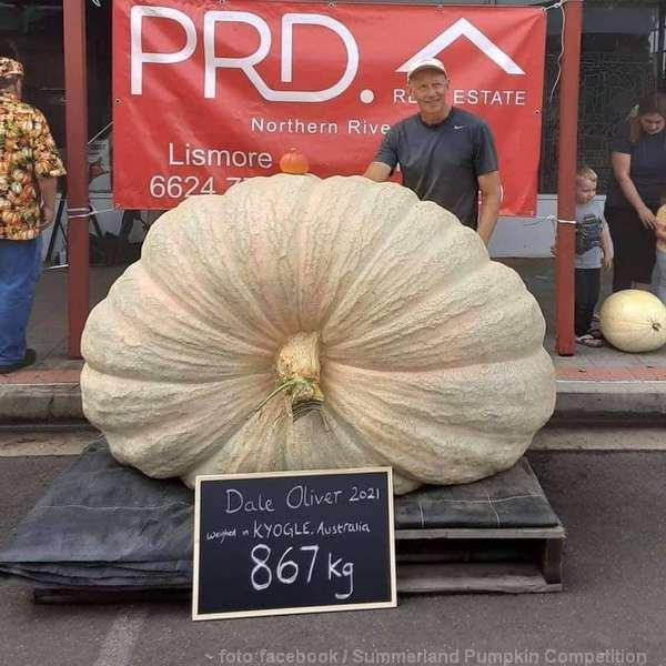 najveća budneva australija