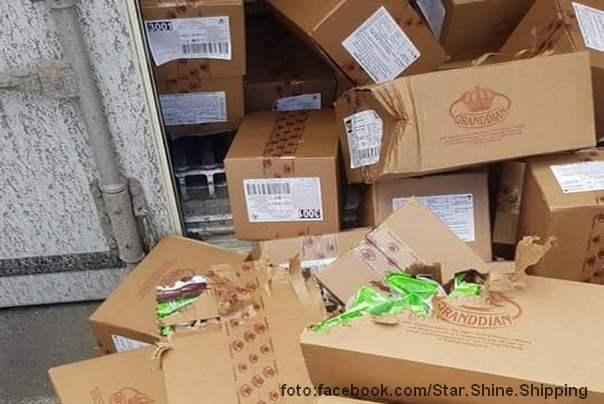 mačka u kontejneru 2