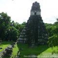 tikal piramide maje