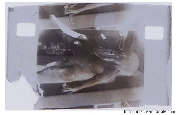 vanzemaljac autopsija