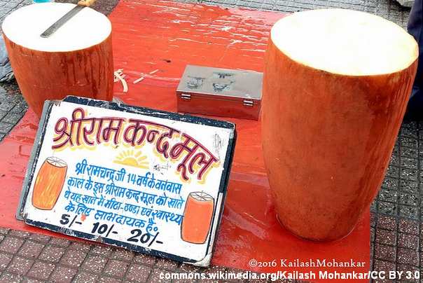 Ram Kand Mool biljka