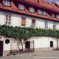 Maribor najstarija vinova loza na svetu
