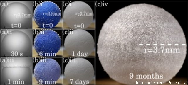 mehur 3 vrste sapunice