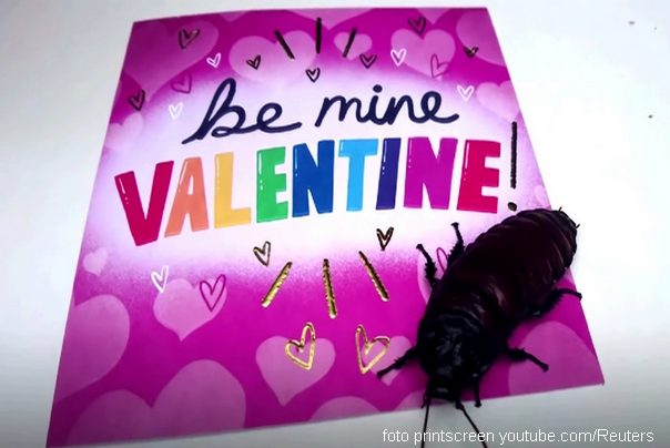 bubašvaba dan zaljubljenih