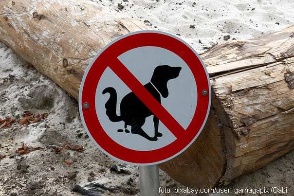 znak zabrane za pse