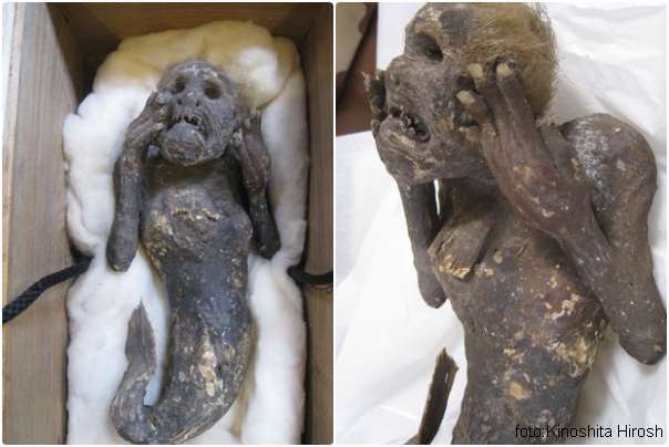 Japansko misteriozno stvorenje -sirena