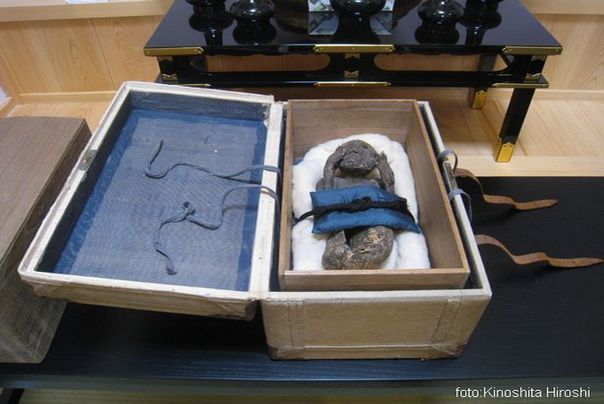 misteriozno stvorenje japan