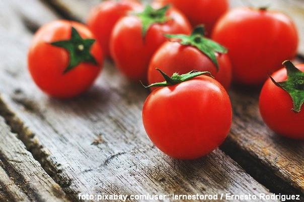 Ilustracija: paradajzi