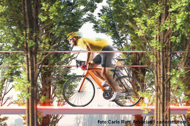 put drveća staza sl1