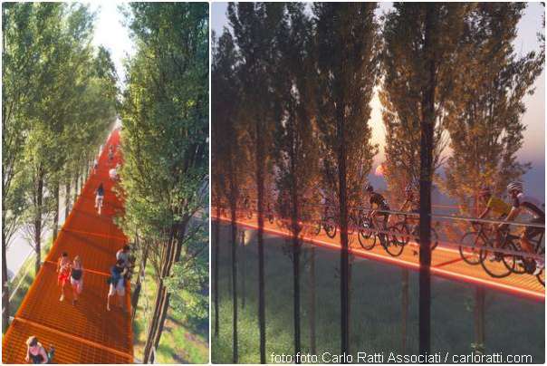 put drveća staza sl3