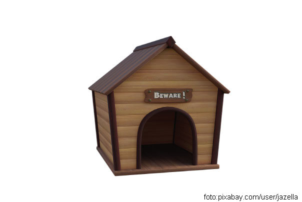 kućica za psa