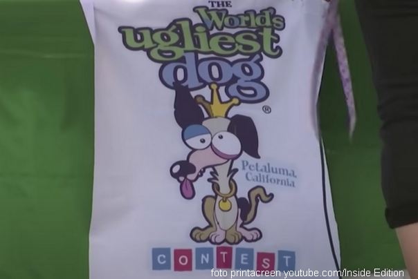 najružniji pas 2022