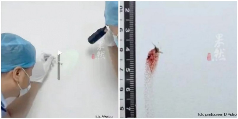 komarac DNK policija