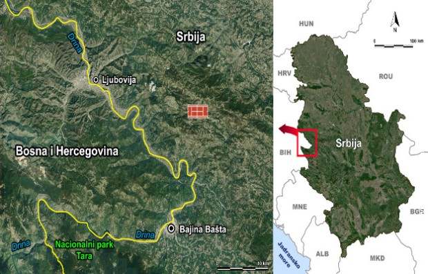 buba Duvalius djokovici