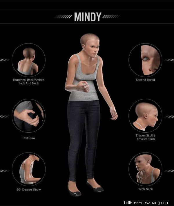 Detaljna slika tela ljudi iz 3000 godine