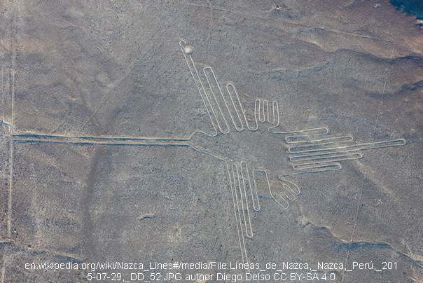 naska linije kolibri