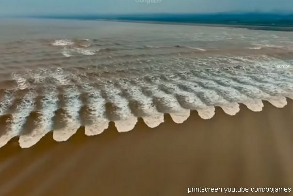 talasi riblje krljušti