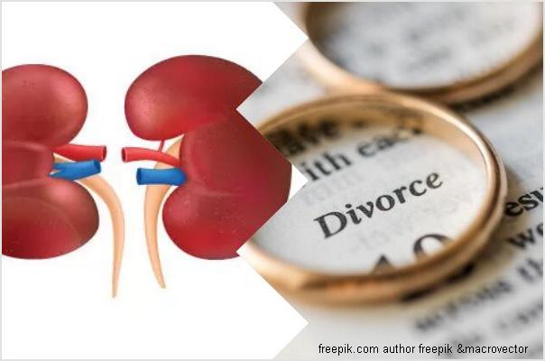 razvod bubreg