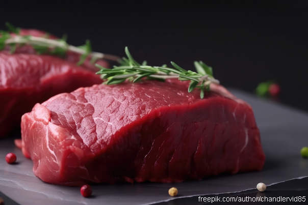 Ilustracija: meso normalno