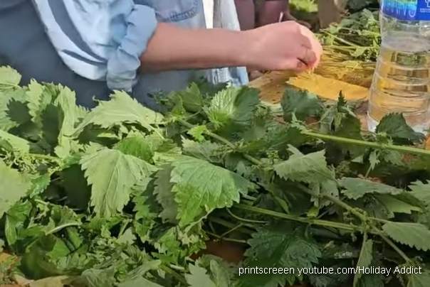 takmičenje u jedenju koprive