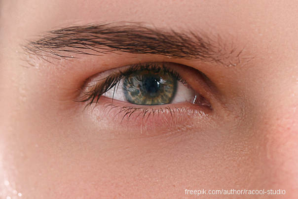 Ilustracija : muško oko