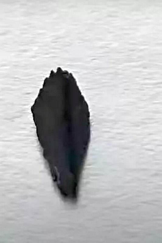 vanzemaljska krhotina NLO-a