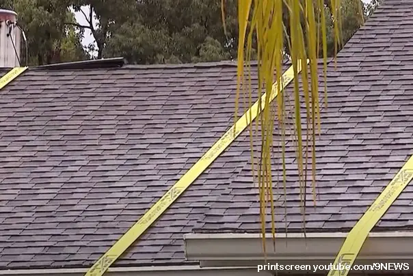 kuča vezana trakama