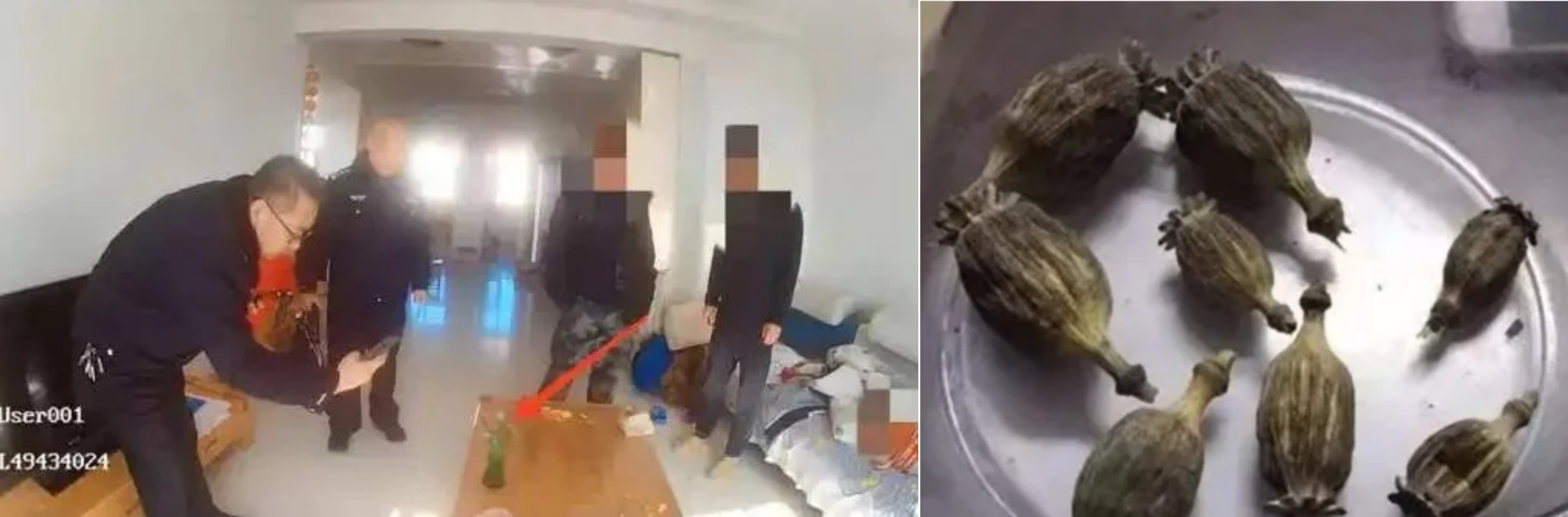 kineska policija uviđaj