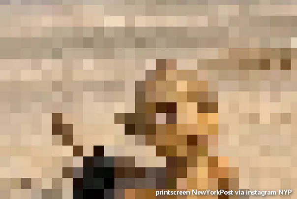 Čudno biće pikselizovana