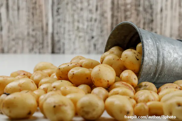 Poljski farmer ostao bez 150 tona krompira zbog lažne objave!